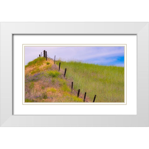 USA-Washington State-Palouse fence line near Winona with vetch and grasses White Modern Wood Framed Art Print with Double Matting by Gulin, Sylvia