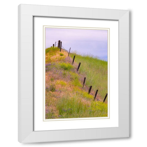 USA-Washington State-Palouse fence line near Winona with vetch and grasses White Modern Wood Framed Art Print with Double Matting by Gulin, Sylvia