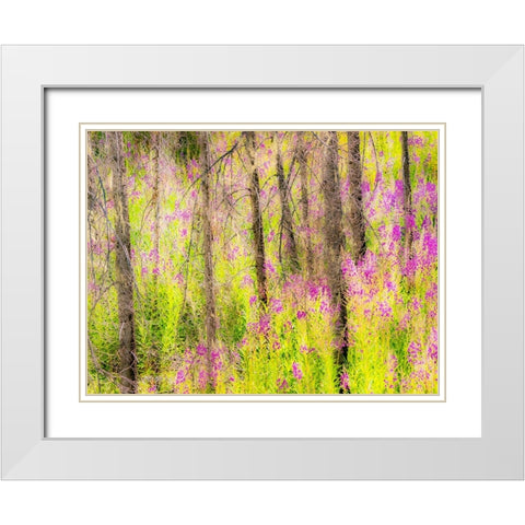 USA-Washington State-burnt forest and fire weed along Lake Cle Elum Washington Cascades White Modern Wood Framed Art Print with Double Matting by Gulin, Sylvia