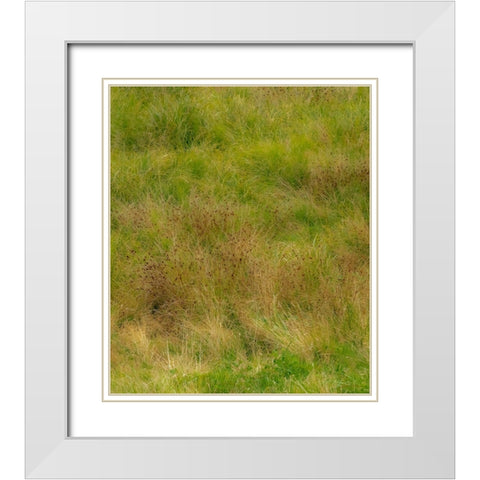 USA-Washington State-Issaquah and grassy field White Modern Wood Framed Art Print with Double Matting by Gulin, Sylvia