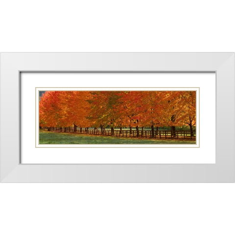 USA-Washington State-North Bend fence and tree lined driveway in fall colors White Modern Wood Framed Art Print with Double Matting by Gulin, Sylvia