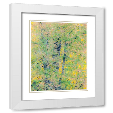 USA-Washington State-Preston-Cottonwoods trees in fall colors White Modern Wood Framed Art Print with Double Matting by Gulin, Sylvia