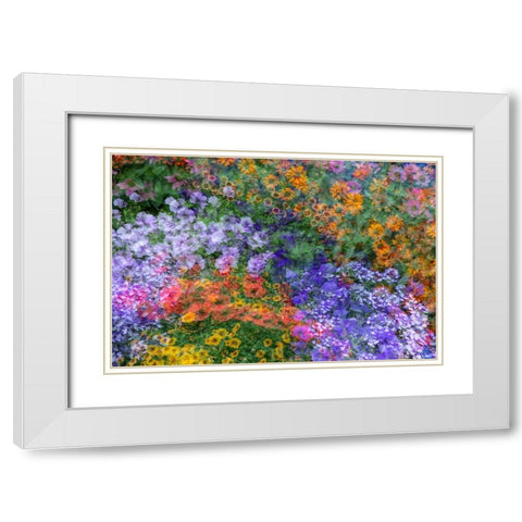 USA-Washington State-Pacific Northwest-Sammamish colorful flowers and blue picket fence White Modern Wood Framed Art Print with Double Matting by Gulin, Sylvia