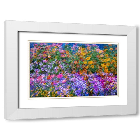 USA-Washington State-Pacific Northwest-Sammamish colorful flowers and blue picket fence White Modern Wood Framed Art Print with Double Matting by Gulin, Sylvia