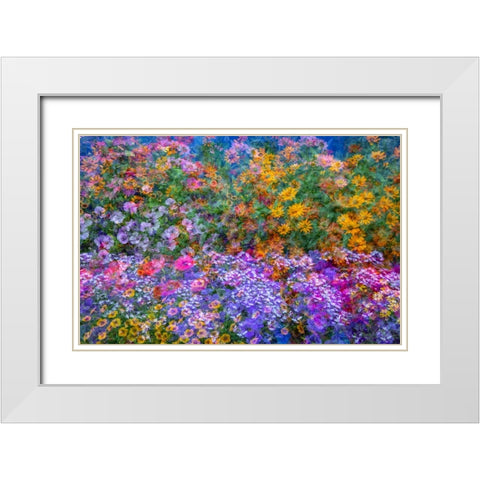 USA-Washington State-Pacific Northwest-Sammamish colorful flowers and blue picket fence White Modern Wood Framed Art Print with Double Matting by Gulin, Sylvia