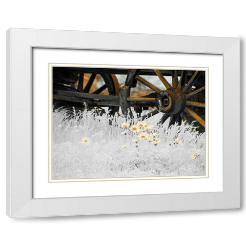 Wagon wheels with Spring wildflowers White Modern Wood Framed Art Print with Double Matting by Eggers, Terry