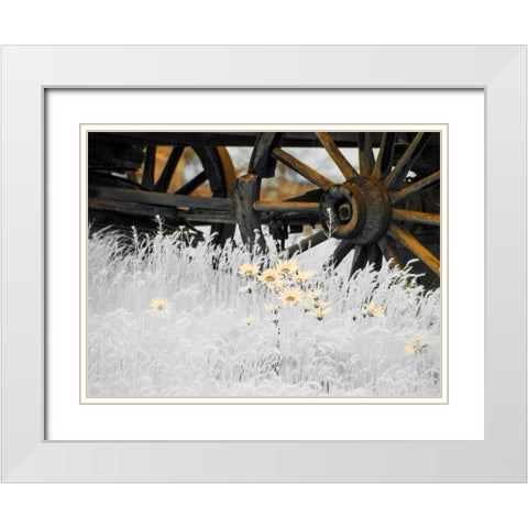 Wagon wheels with Spring wildflowers White Modern Wood Framed Art Print with Double Matting by Eggers, Terry