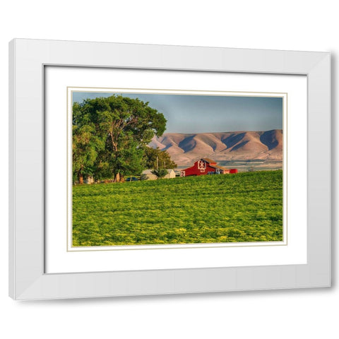 Evening light on red barn White Modern Wood Framed Art Print with Double Matting by Eggers, Terry