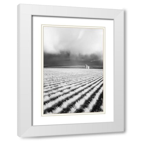 USA-Washington State-Silo with Storm front coming White Modern Wood Framed Art Print with Double Matting by Eggers, Terry