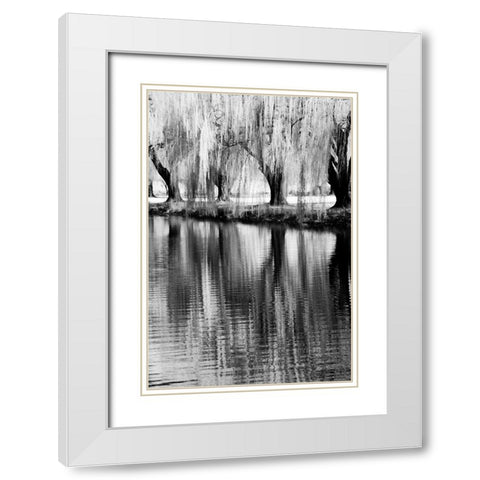 USA-Washington State-Eastern Washington-Weeping willow tree reflecting in pond White Modern Wood Framed Art Print with Double Matting by Eggers, Terry