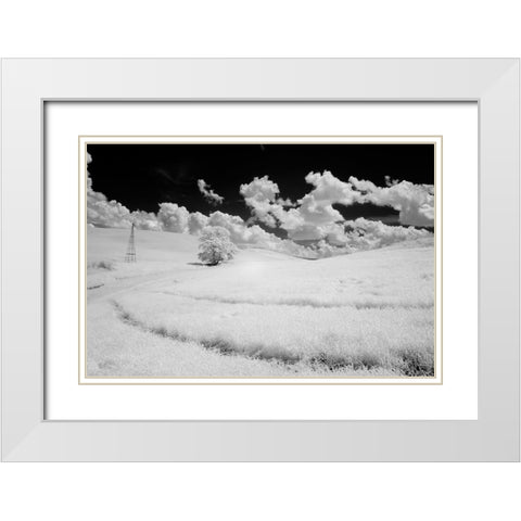 USA-Washington State-Lone tree in field of wheat White Modern Wood Framed Art Print with Double Matting by Eggers, Terry