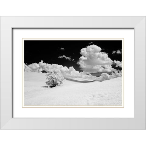 USA-Washington State-Lone tree in field of wheat White Modern Wood Framed Art Print with Double Matting by Eggers, Terry