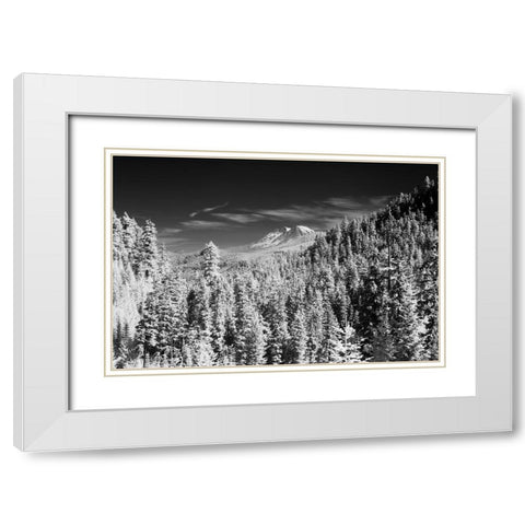 USA-Washington State-Mt-Rainier viewed from the South White Modern Wood Framed Art Print with Double Matting by Eggers, Terry