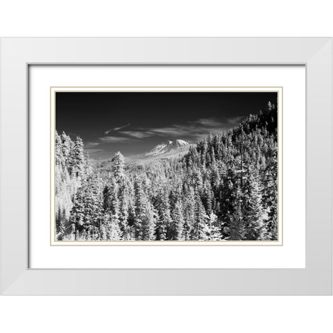 USA-Washington State-Mt-Rainier viewed from the South White Modern Wood Framed Art Print with Double Matting by Eggers, Terry