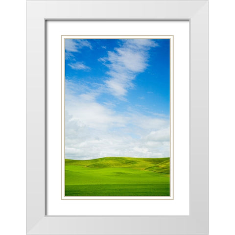 USA-Washington State-Palouse Region-Patterns in the fields of fresh green Spring wheat White Modern Wood Framed Art Print with Double Matting by Eggers, Terry