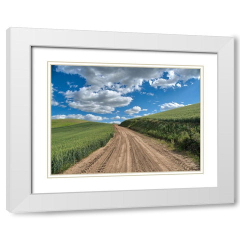 USA-Washington State-Palouse-Country Backroad through Spring wheat fields White Modern Wood Framed Art Print with Double Matting by Eggers, Terry