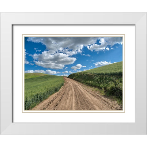 USA-Washington State-Palouse-Country Backroad through Spring wheat fields White Modern Wood Framed Art Print with Double Matting by Eggers, Terry