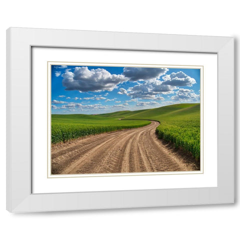 USA-Washington State-Palouse-Country Backroad through Spring wheat fields White Modern Wood Framed Art Print with Double Matting by Eggers, Terry