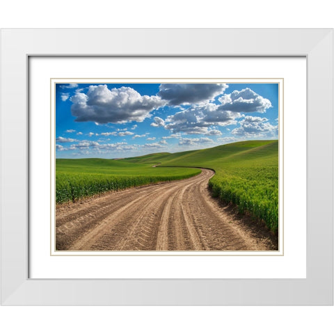 USA-Washington State-Palouse-Country Backroad through Spring wheat fields White Modern Wood Framed Art Print with Double Matting by Eggers, Terry