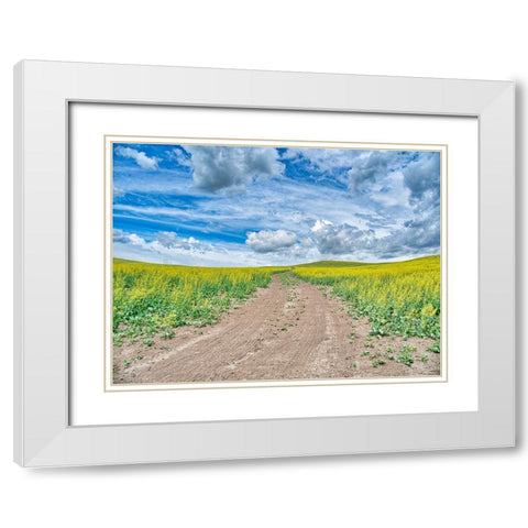 USA-Washington State-Palouse-Country Backroad through Spring canola fields White Modern Wood Framed Art Print with Double Matting by Eggers, Terry