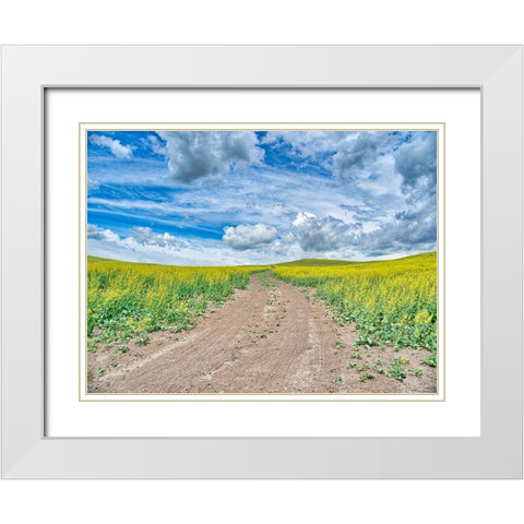USA-Washington State-Palouse-Country Backroad through Spring canola fields White Modern Wood Framed Art Print with Double Matting by Eggers, Terry
