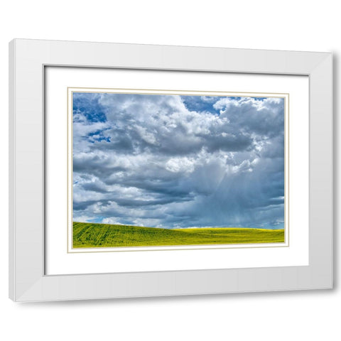 USA-Washington State-Palouse-Spring canola field with beautiful clouds White Modern Wood Framed Art Print with Double Matting by Eggers, Terry