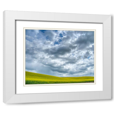 USA-Washington State-Palouse-Spring canola field with beautiful clouds White Modern Wood Framed Art Print with Double Matting by Eggers, Terry