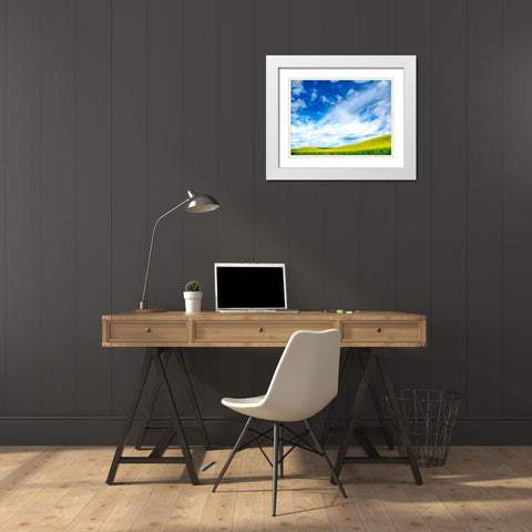 USA-Washington State-Palouse-Spring canola field with beautiful clouds White Modern Wood Framed Art Print with Double Matting by Eggers, Terry