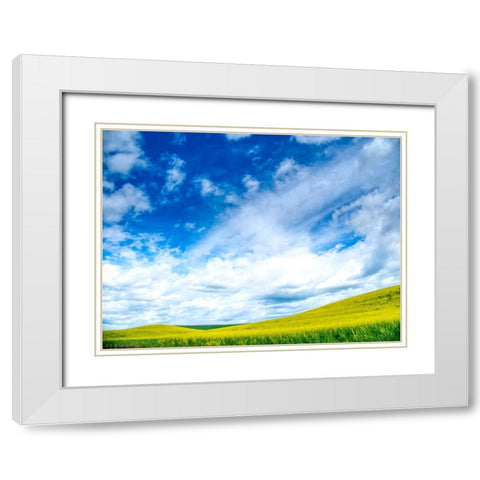 USA-Washington State-Palouse-Spring canola field with beautiful clouds White Modern Wood Framed Art Print with Double Matting by Eggers, Terry