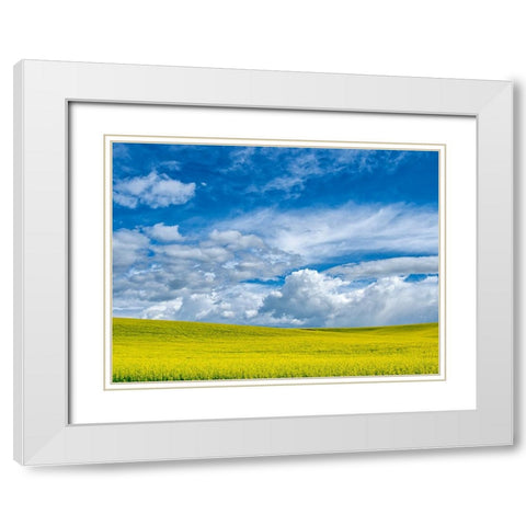 USA-Washington State-Palouse-Spring canola field with beautiful clouds White Modern Wood Framed Art Print with Double Matting by Eggers, Terry