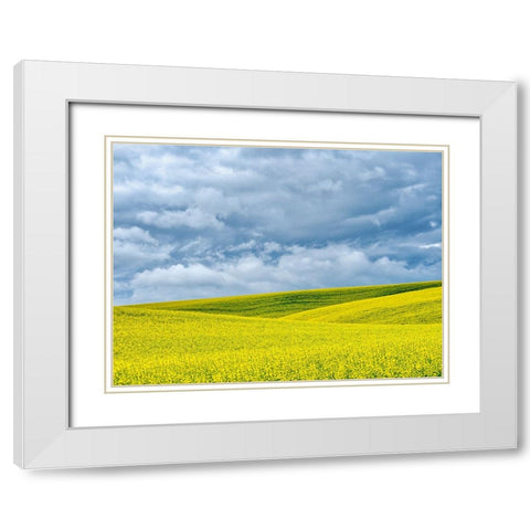 USA-Washington State-Palouse-Rolling hills of canola and wheat White Modern Wood Framed Art Print with Double Matting by Eggers, Terry