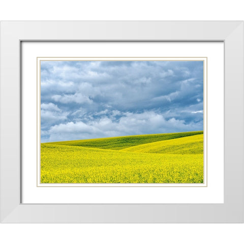 USA-Washington State-Palouse-Rolling hills of canola and wheat White Modern Wood Framed Art Print with Double Matting by Eggers, Terry