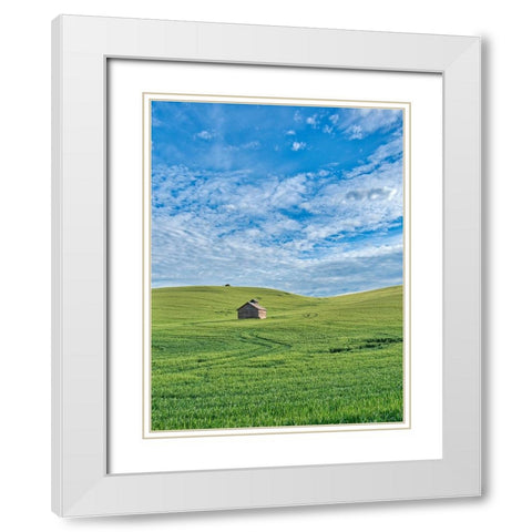 USA-Washington State-Small barn and tracks in wheat field White Modern Wood Framed Art Print with Double Matting by Eggers, Terry