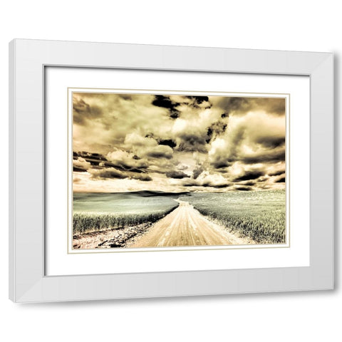 USA-Washington State-Palouse-Country backroad through spring crops White Modern Wood Framed Art Print with Double Matting by Eggers, Terry