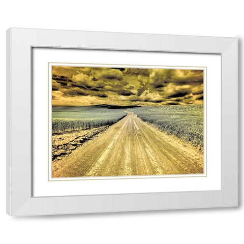 USA-Washington State-Palouse-Country backroad through spring crops White Modern Wood Framed Art Print with Double Matting by Eggers, Terry