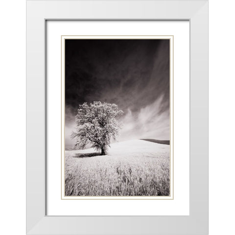 USA-Palouse Country-Infrared Palouse fields and lone tree White Modern Wood Framed Art Print with Double Matting by Eggers, Terry