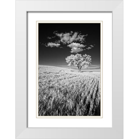 USA-Palouse Country-Washington State-Infrared Palouse fields and lone tree White Modern Wood Framed Art Print with Double Matting by Eggers, Terry
