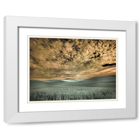 USA-Washington State-Palouse-wheat field and clouds White Modern Wood Framed Art Print with Double Matting by Eggers, Terry