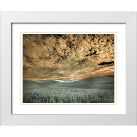 USA-Washington State-Palouse-wheat field and clouds White Modern Wood Framed Art Print with Double Matting by Eggers, Terry