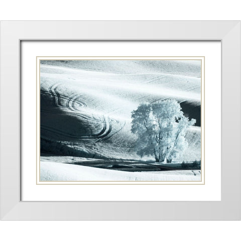 USA-Washington State-Palouse region-Lone tree in Field White Modern Wood Framed Art Print with Double Matting by Eggers, Terry