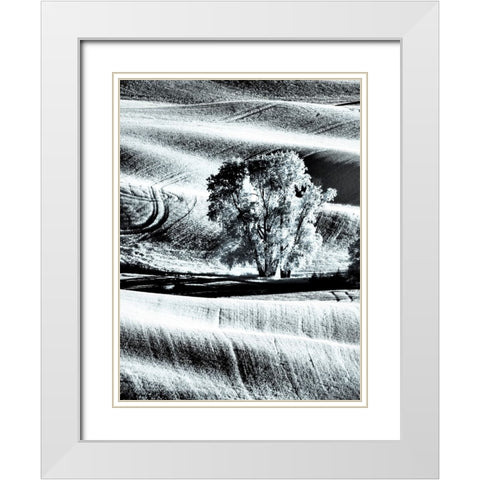USA-Washington State-Palouse region-Lone tree in Field White Modern Wood Framed Art Print with Double Matting by Eggers, Terry