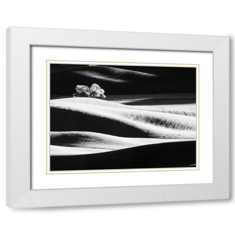 USA-Washington State-Palouse region-Lone tree in Field White Modern Wood Framed Art Print with Double Matting by Eggers, Terry