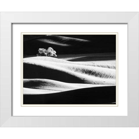 USA-Washington State-Palouse region-Lone tree in Field White Modern Wood Framed Art Print with Double Matting by Eggers, Terry