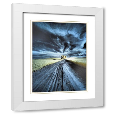 USA-Washington State-Palouse region-Backcountry road leading to Lone Tree White Modern Wood Framed Art Print with Double Matting by Eggers, Terry