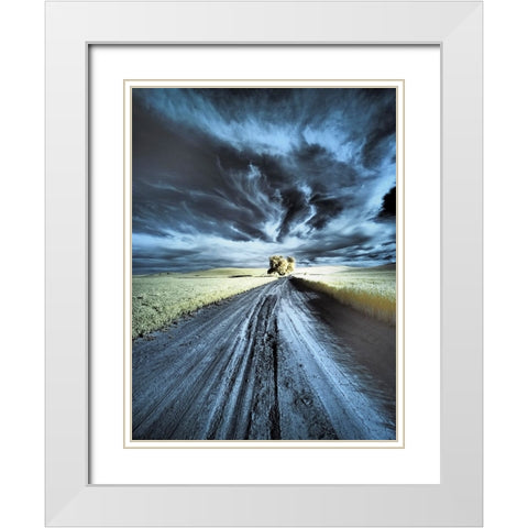 USA-Washington State-Palouse region-Backcountry road leading to Lone Tree White Modern Wood Framed Art Print with Double Matting by Eggers, Terry