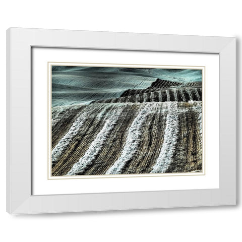USA-Washington State-Palouse region-Harvest cut lines in Field White Modern Wood Framed Art Print with Double Matting by Eggers, Terry