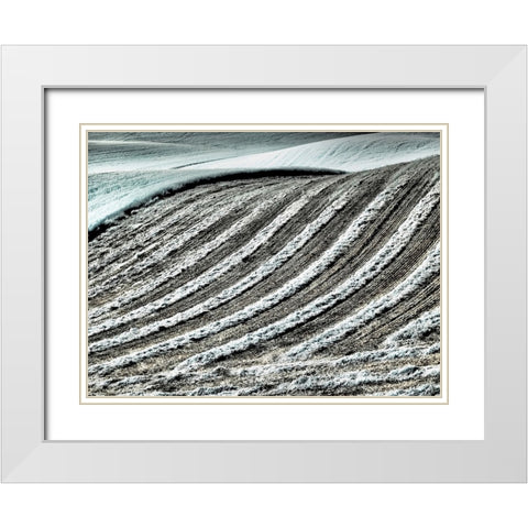 USA-Washington State-Palouse region-Harvest cut lines in Field White Modern Wood Framed Art Print with Double Matting by Eggers, Terry