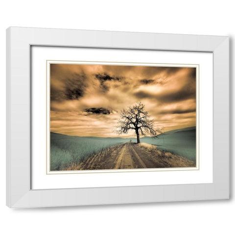 USA-Washington State-Palouse Infrared of lone tree along side country road White Modern Wood Framed Art Print with Double Matting by Eggers, Terry