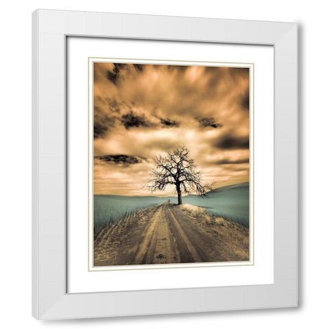 USA-Washington State-Palouse Infrared of lone tree along side country road White Modern Wood Framed Art Print with Double Matting by Eggers, Terry