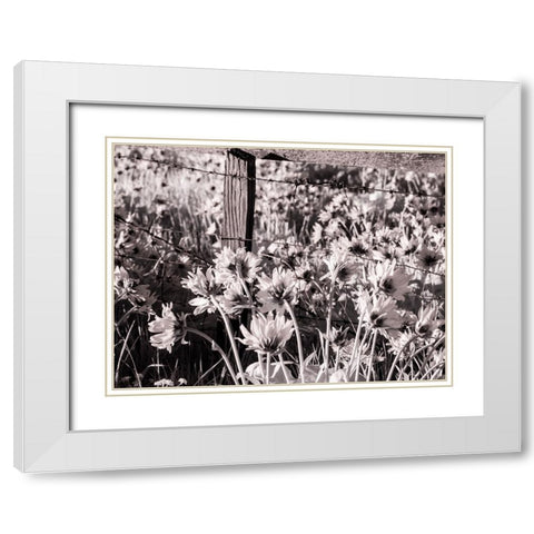 USA-Washington State Infrared capture of fence line and wildflowers White Modern Wood Framed Art Print with Double Matting by Eggers, Terry